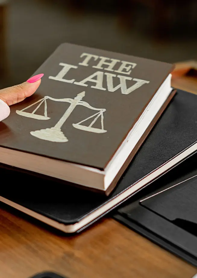 pexels-mikhail-nilov-8731037